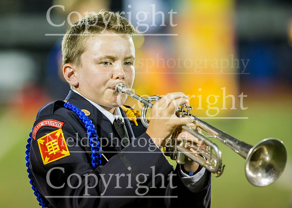 Band_238