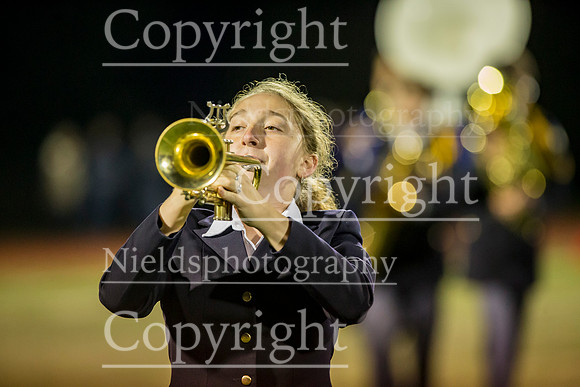 Band_239