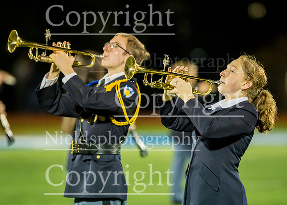 Band_252