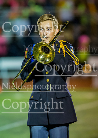 Band_262