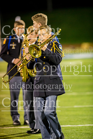 Band_278