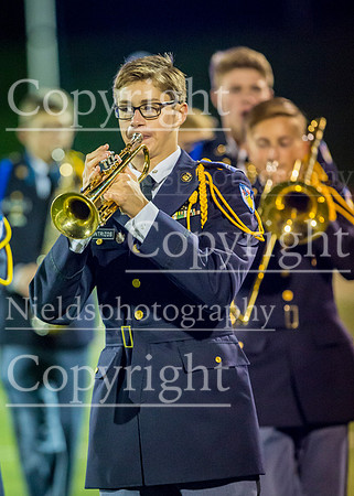Band_276