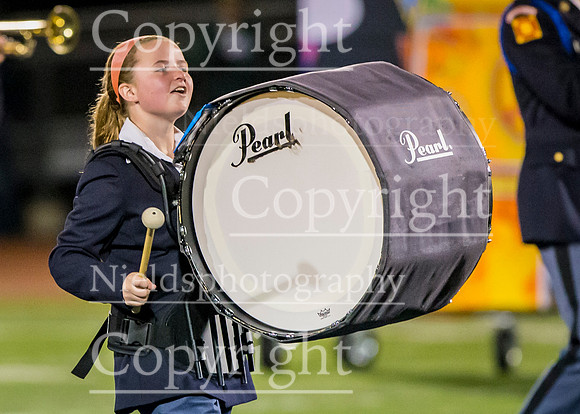Band_291