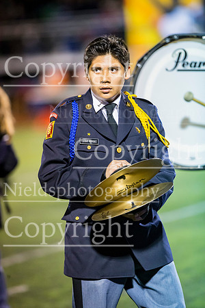 Band_294