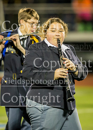 Band_298