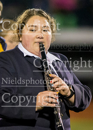 Band_299