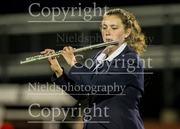 Band_300