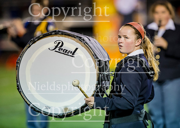 Band_302