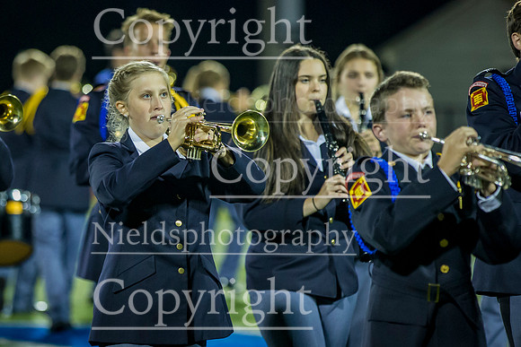 Band_310
