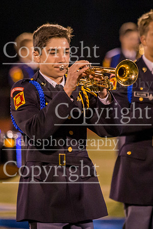 Band_311