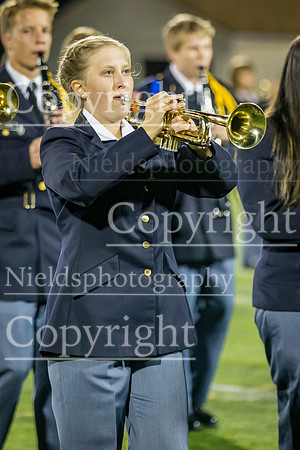 Band_313