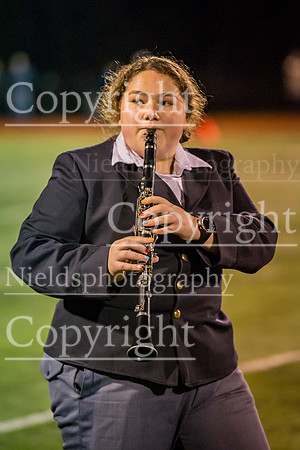 Band_316