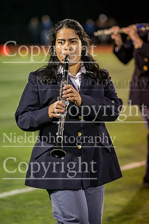 Band_317