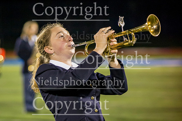 Band_328
