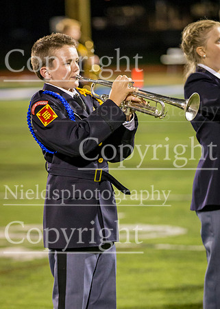 Band_331