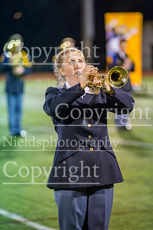 Band_332