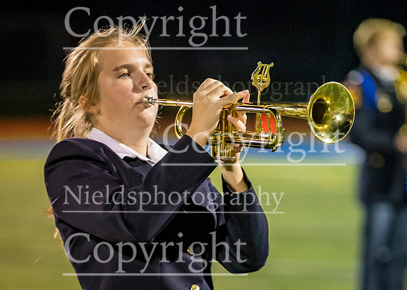 Band_334
