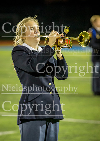 Band_335