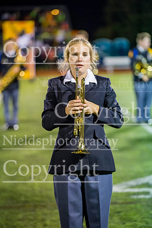 Band_337