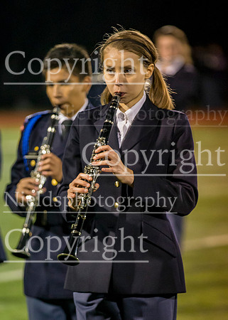 Band_350