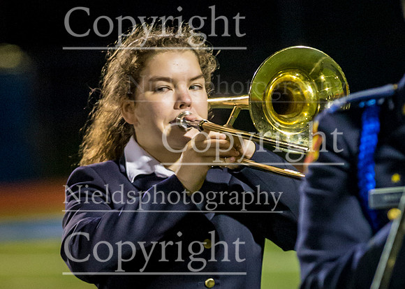 Band_368