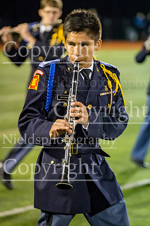 Band_318