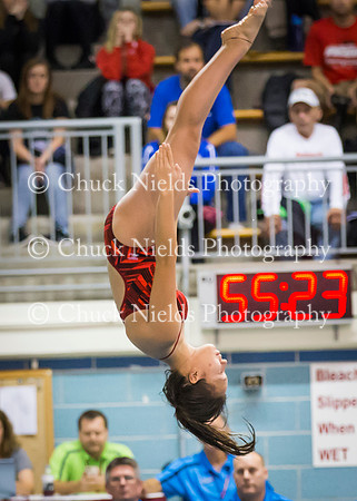 State finals_111