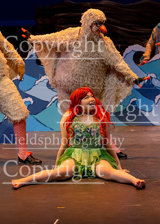 Little_Mermaid_453