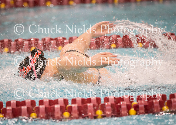 State Swimming_176
