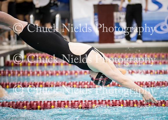 State Swimming_312