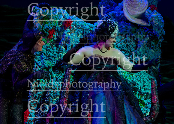 Little_Mermaid_409