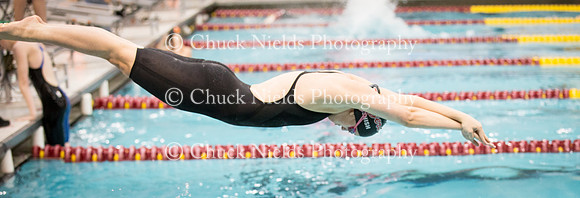 State Swimming_267