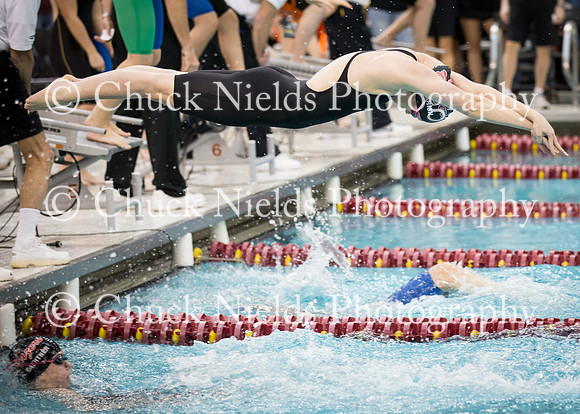 State Swimming_309