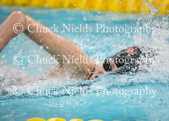 State Swimming_204