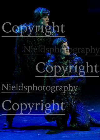 Little_Mermaid_419