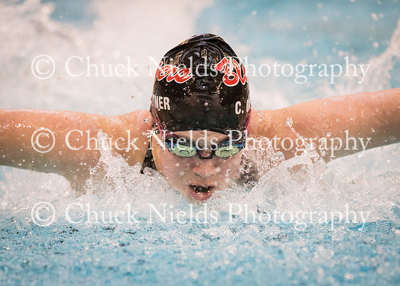 State Swimming_168