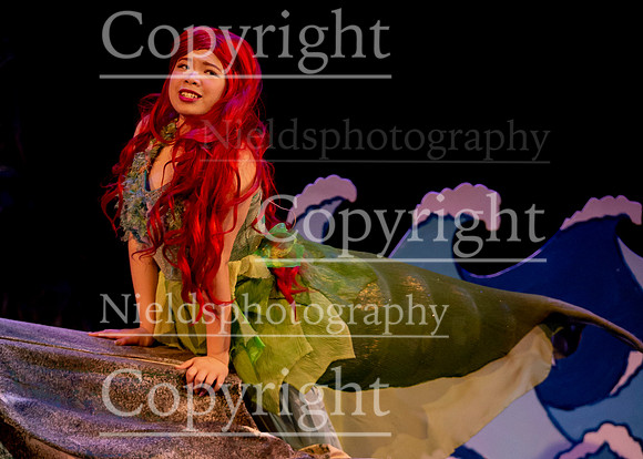 Little_Mermaid_325