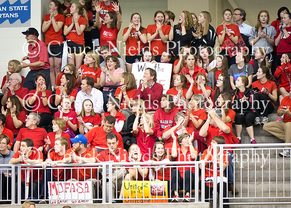 Vis_State187