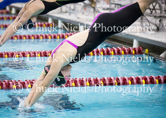 State Swimming_365