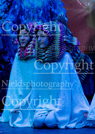 Little_Mermaid_245