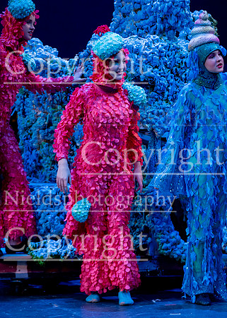 Little_Mermaid_248