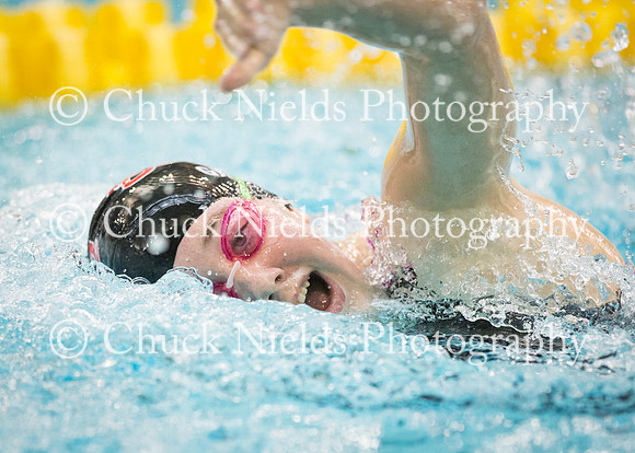 State Swimming_210