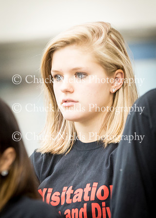 State Swimming_097