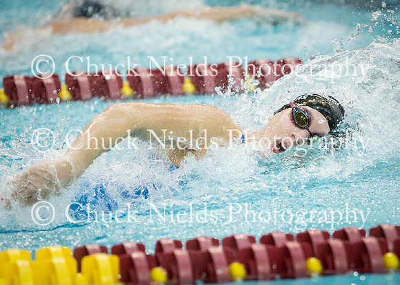State Swimming_185