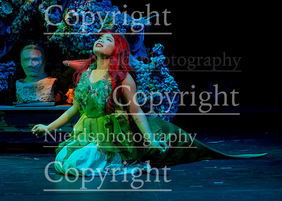 Little_Mermaid_306