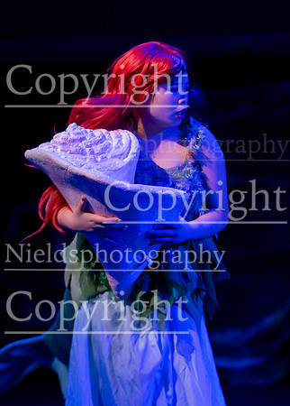 Little_Mermaid_575