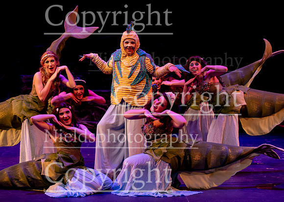 Little_Mermaid_332