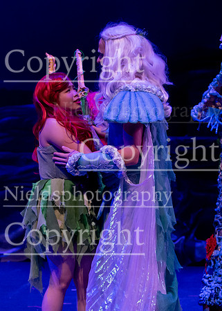 Little_Mermaid_582