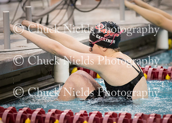 State Swimming_303