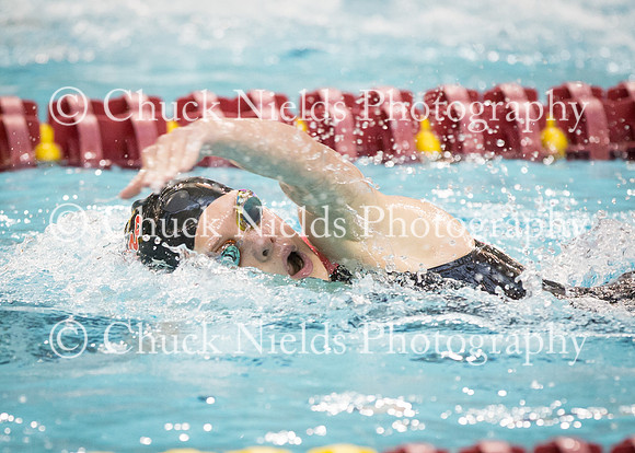 State Swimming_231